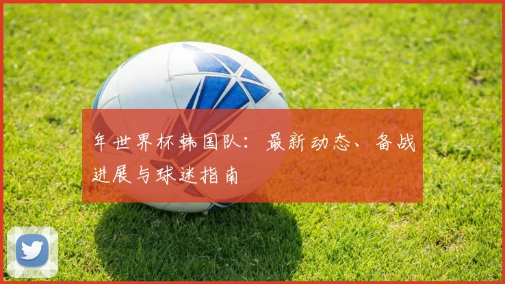 年世界杯韩国队：最新动态、备战进展与球迷指南