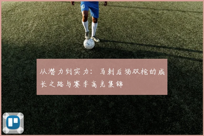 从潜力到实力：马刺后场双枪的成长之路与赛季高光集锦